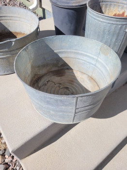 scaled&nbsp;1000009978