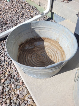 scaled&nbsp;1000009979