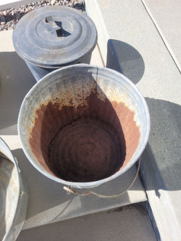 scaled&nbsp;1000009980